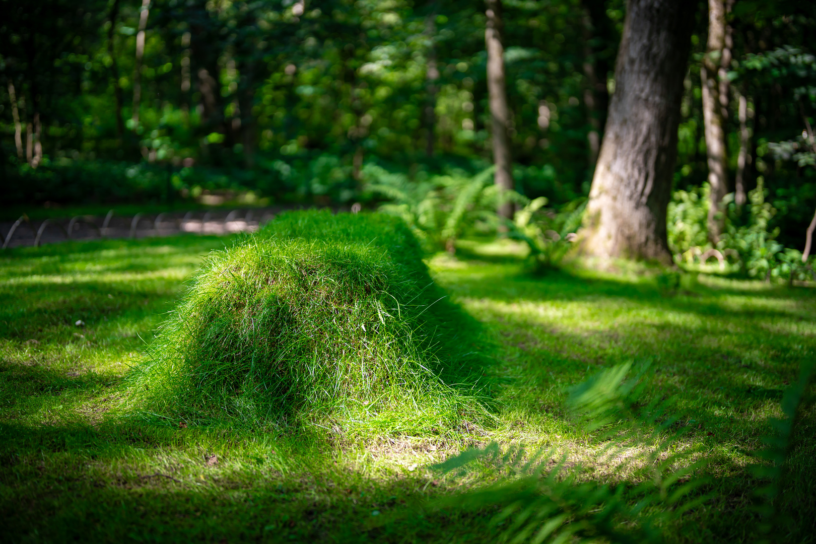 Тайный рецепт Счастья где-то рядом